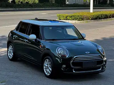 MINI MINI 2018