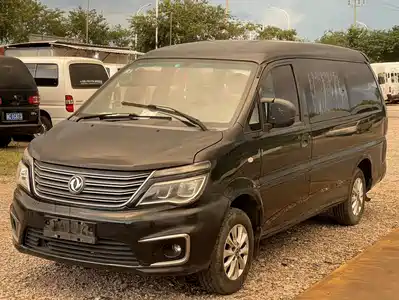 Dongfeng Fengxing Lingzhi 2018