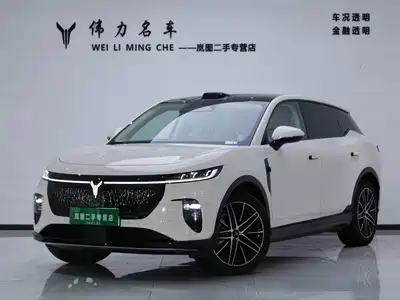 Voyah Auto Zhiyin 2025