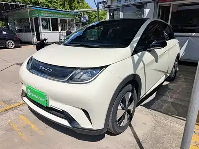 BYD Dolphin 2023