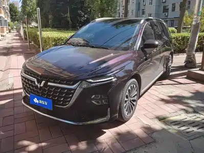 Wuling Motors Victory 2024
