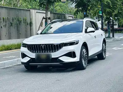 Voyah Auto FREE 2022