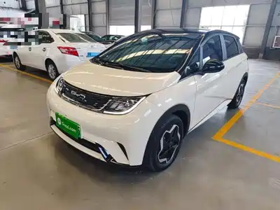 BYD Dolphin 2022