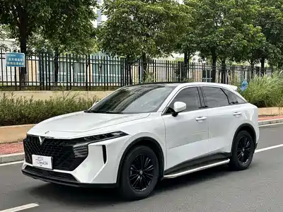 Venucia Big V 2022