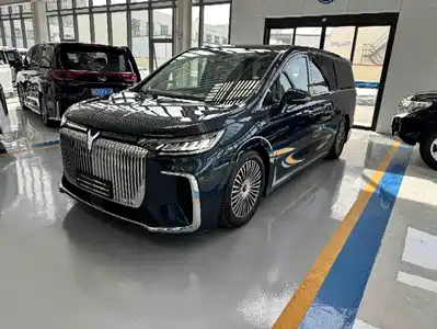 Voyah Auto Dreamer 2025