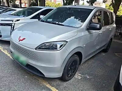 Wuling Motors Hongguang New Energy 2025