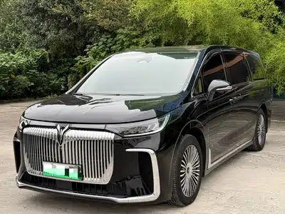 Voyah Auto Dreamer 2025