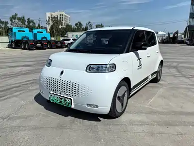 Ora White Cat 2021