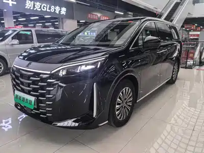 BYD Xia 2025