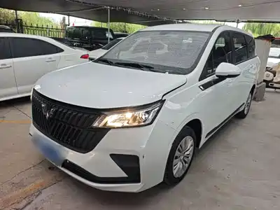 Wuling Motors Jiachen 2023
