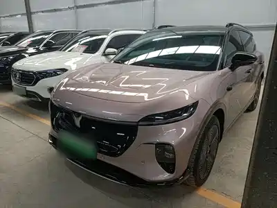 Voyah Auto Zhiyin 2024