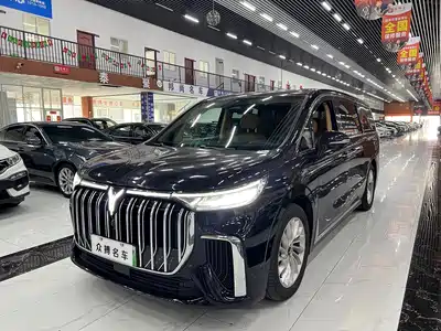 Voyah Auto Dreamer 2024