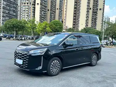 BYD Xia 2025