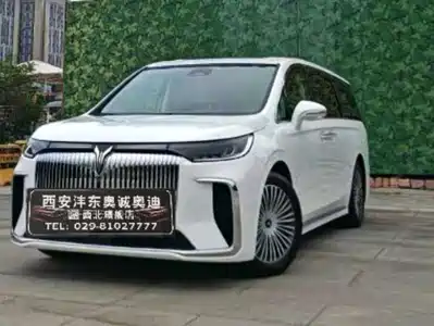 Voyah Auto Dreamer 2024
