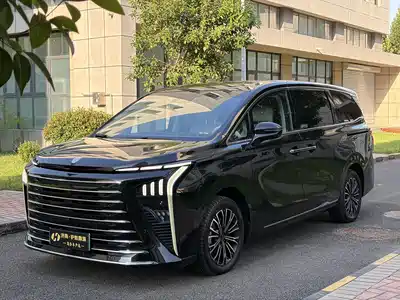Dongfeng Fengxing Starlight V9 2024