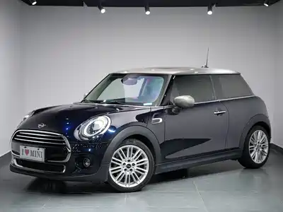 MINI MINI 2020
