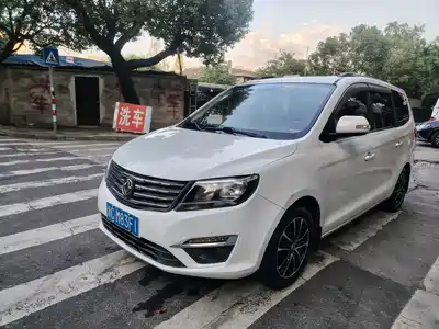 Dongfeng Fengxing S500 2016