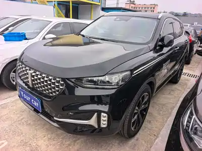 WEY VV6 2021