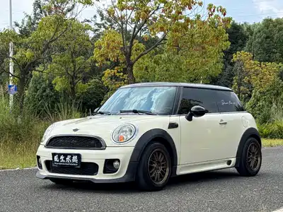 MINI MINI 2010