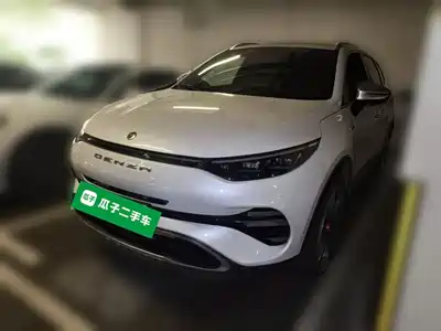 Denza X 2020