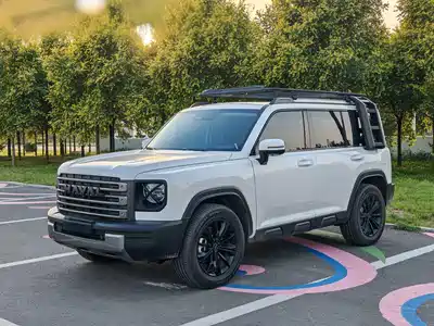Haval Meng Long NEV 2025