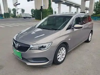 Buick GL6 2018