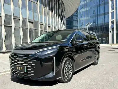 BYD Xia 2025