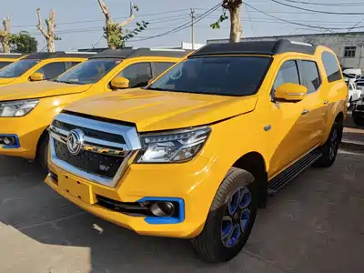Dongfeng Rich 6 New Energy 2021