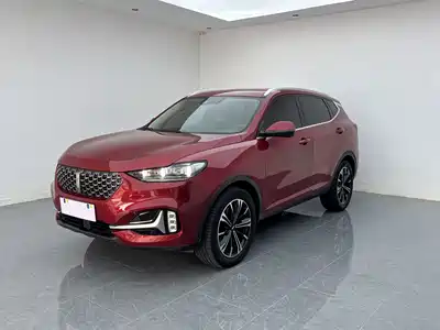 WEY VV6 2020