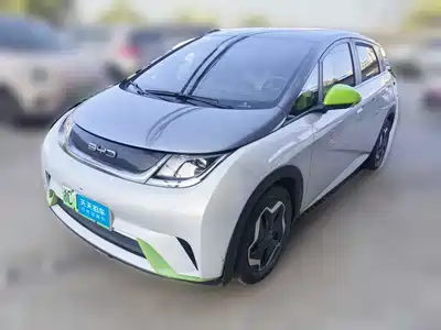 BYD Dolphin 2021