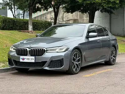 BMW 5 Series (Import) 2021