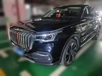 Hongqi HS7 2021