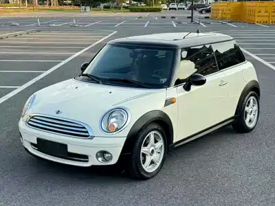 MINI MINI 2010