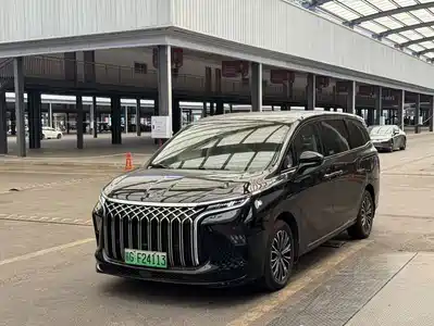 Dongfeng Fengxing Starlight V9 2024