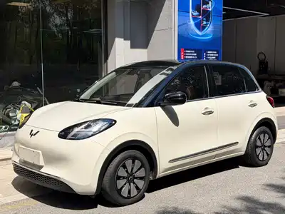 Wuling Motors Bingo 2024