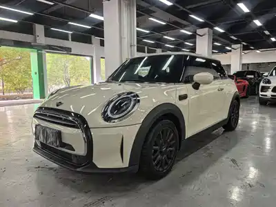 MINI MINI 2022