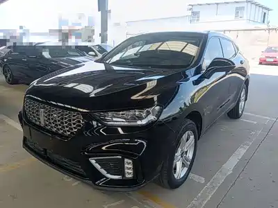 WEY VV5 2020