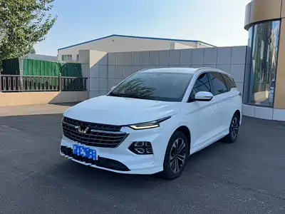 Wuling Motors Victory 2021