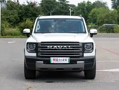 Haval Meng Long NEV 2024