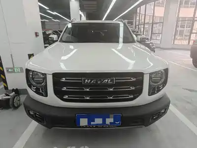 Haval Big Dog 2022