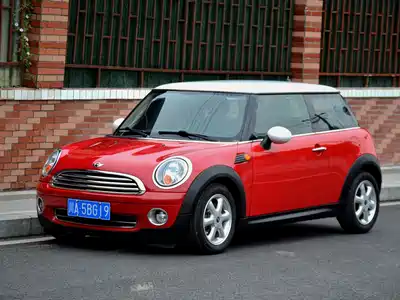 MINI MINI 2010
