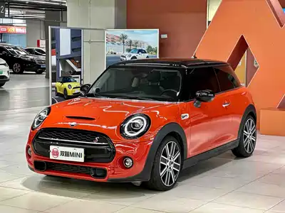 MINI MINI 2020