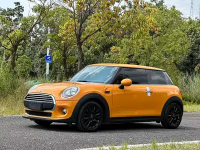 MINI MINI 2017