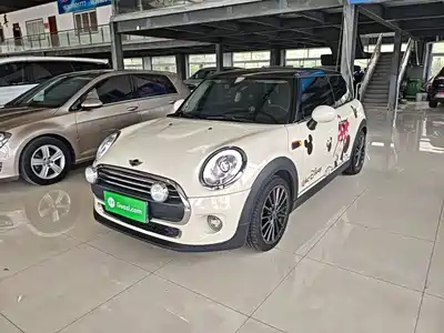 MINI MINI 2017