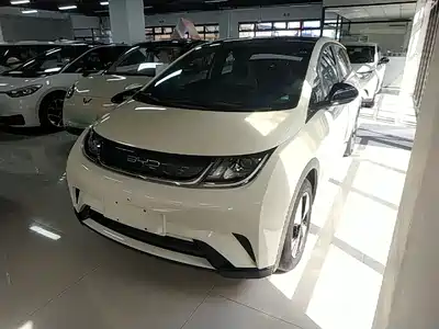 BYD Dolphin 2024