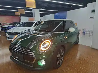 MINI MINI 2019