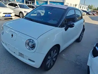 Ora Black Cat 2020