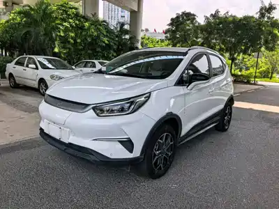 BYD Yuan Pro 2021