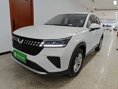 Wuling Motors Xingchi 2024