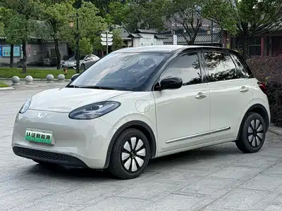 Wuling Motors Bingo 2023